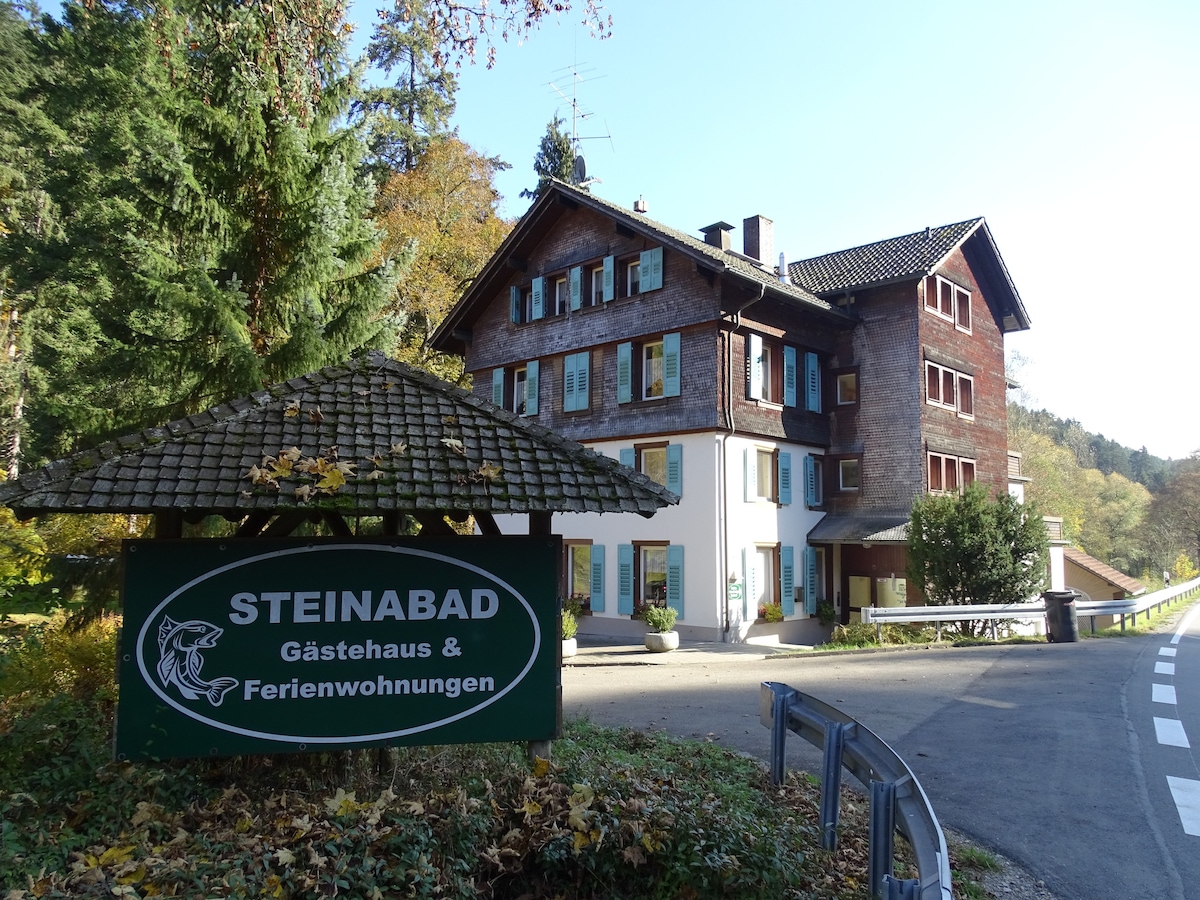 Steinabad - Appartement Kniebis