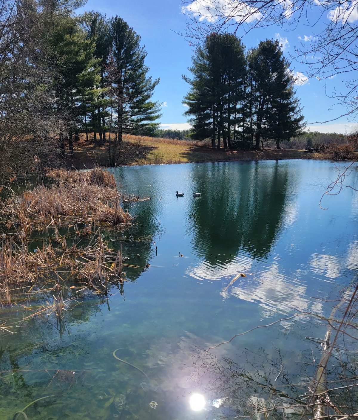 Cabin Retreat at Whitetail Run