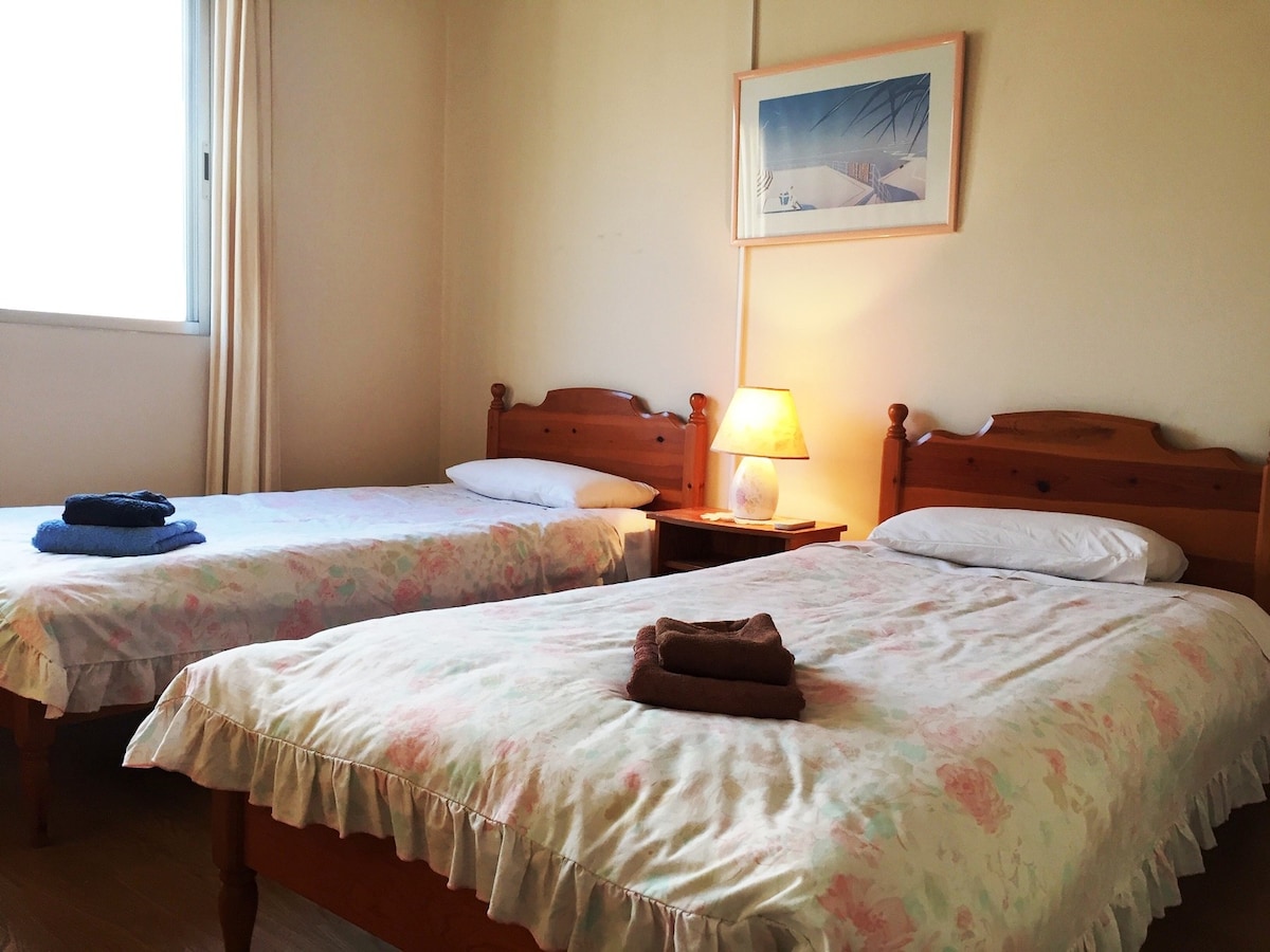 尼科西亚2间单人卧室，带景观和游泳池