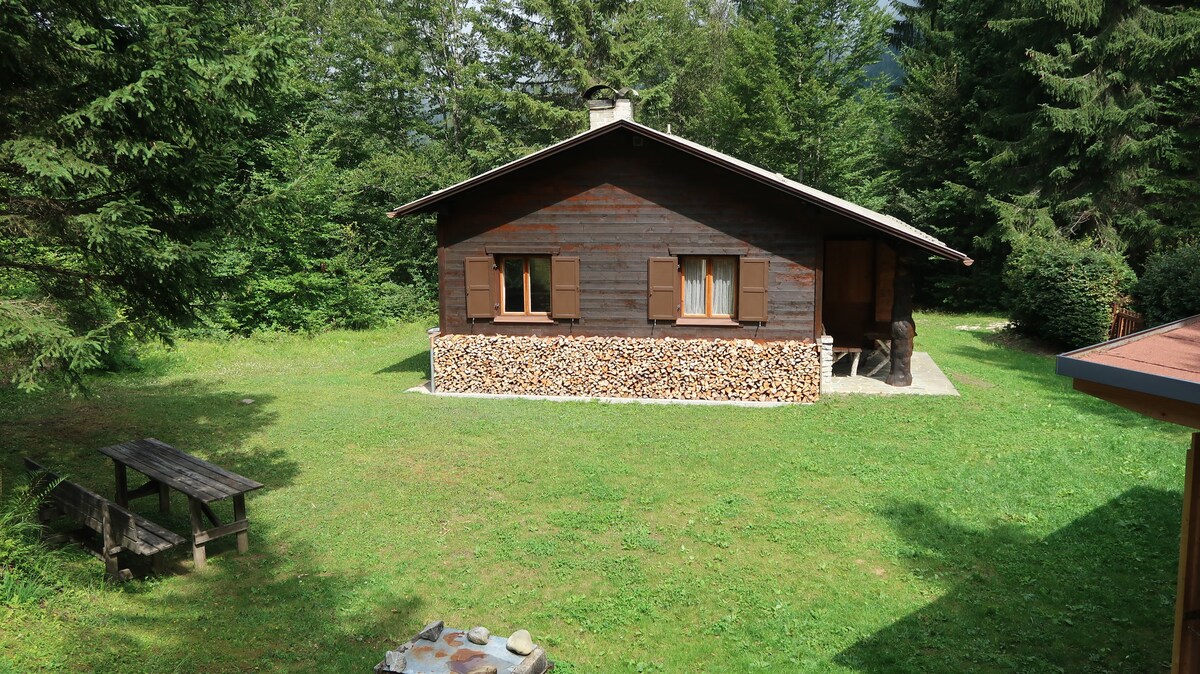 舒适乡村别墅Buchner Hütte