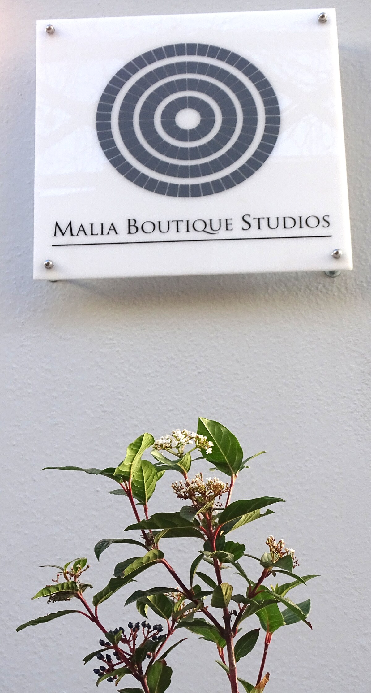 Malia Boutique Studio w/ kitchen in Malia Old town