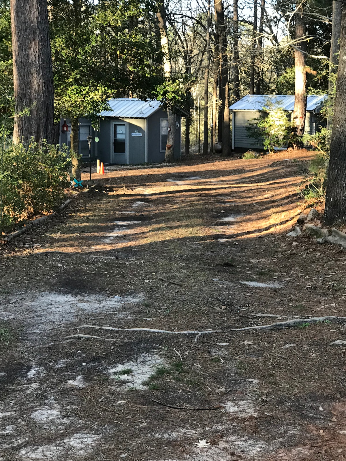 Sam Rayburn Gray Cabin Zavalla, Tx