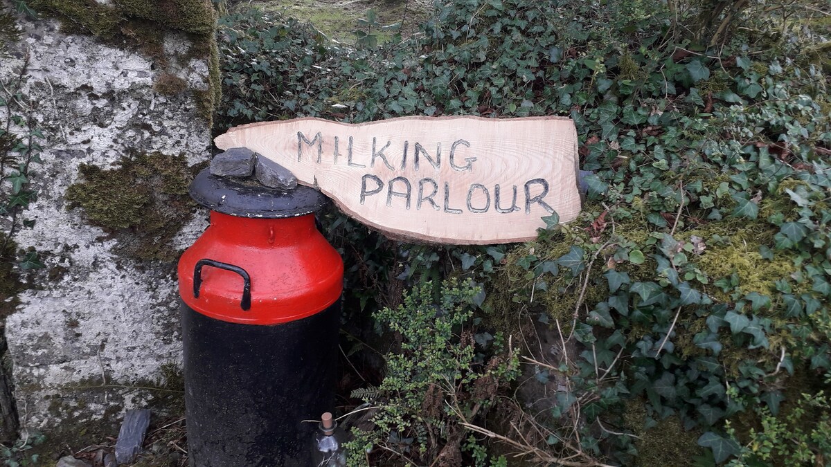 The Milking Parlour, Magherabaun, Feakle
