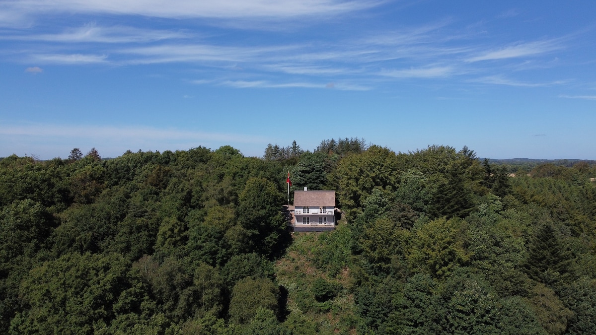 Aastedhytten -景观的森林房屋