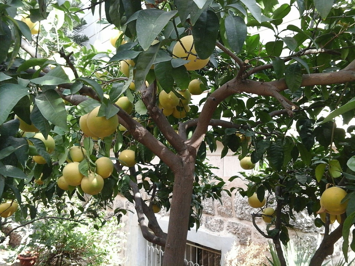 East Jerusalem House with Beautiful Garden, Room 5