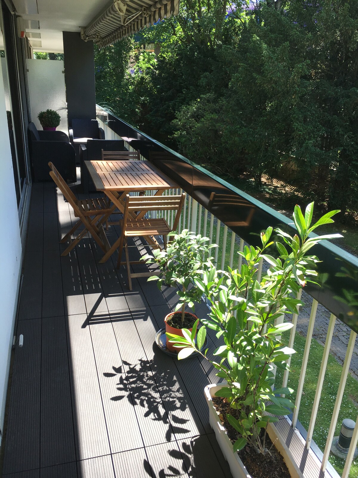 现代、明亮、宽敞的阳台、花园
