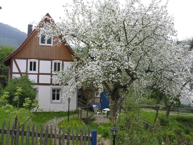 Reinhardtsdorf-Schöna的民宿