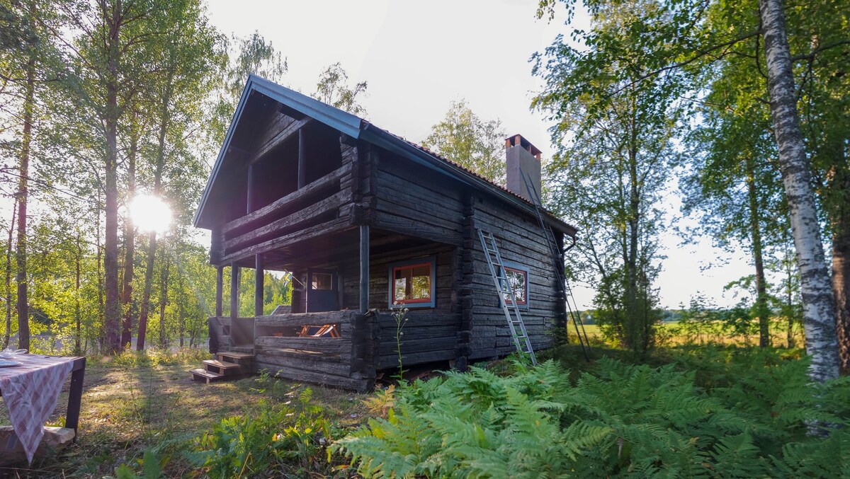 Hällbacken -位于达拉纳的舒适小木屋