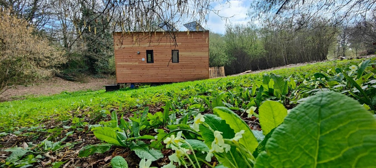 La maisonnette de notre jardin