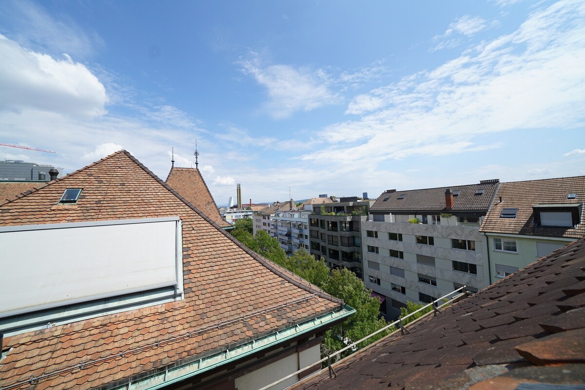 巴塞尔屋顶上方的中央单间公寓