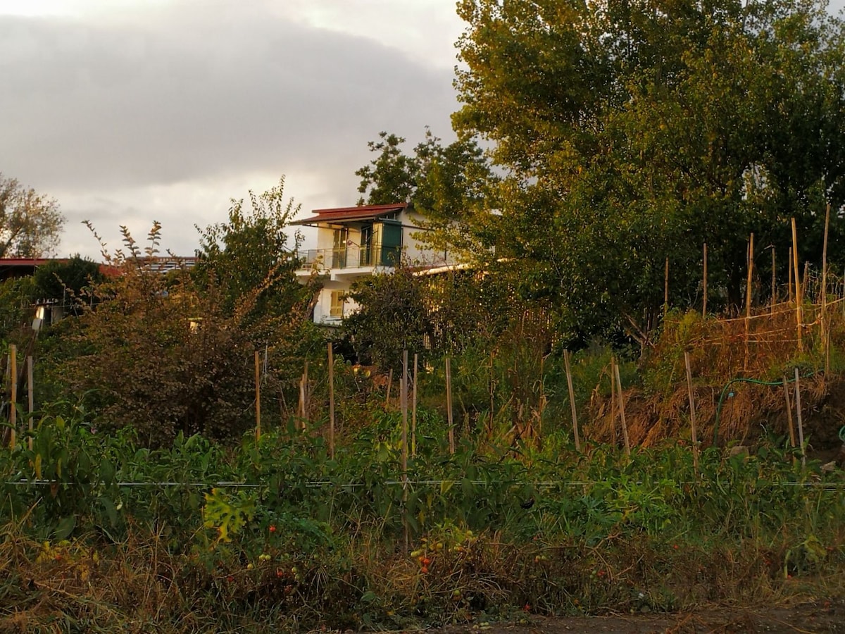 超级乡村乡村小屋