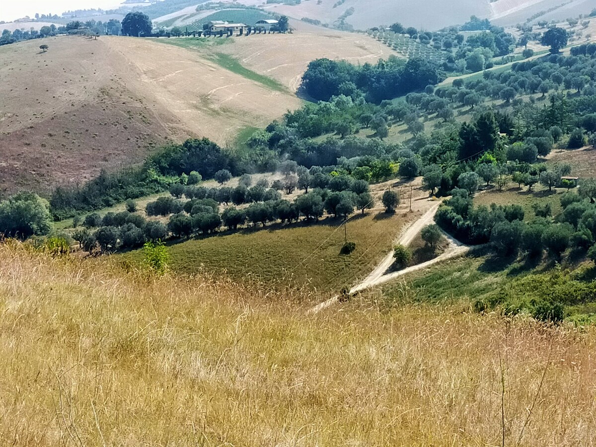 Tranquillo Casolare nelle campagne di Morro d'Oro