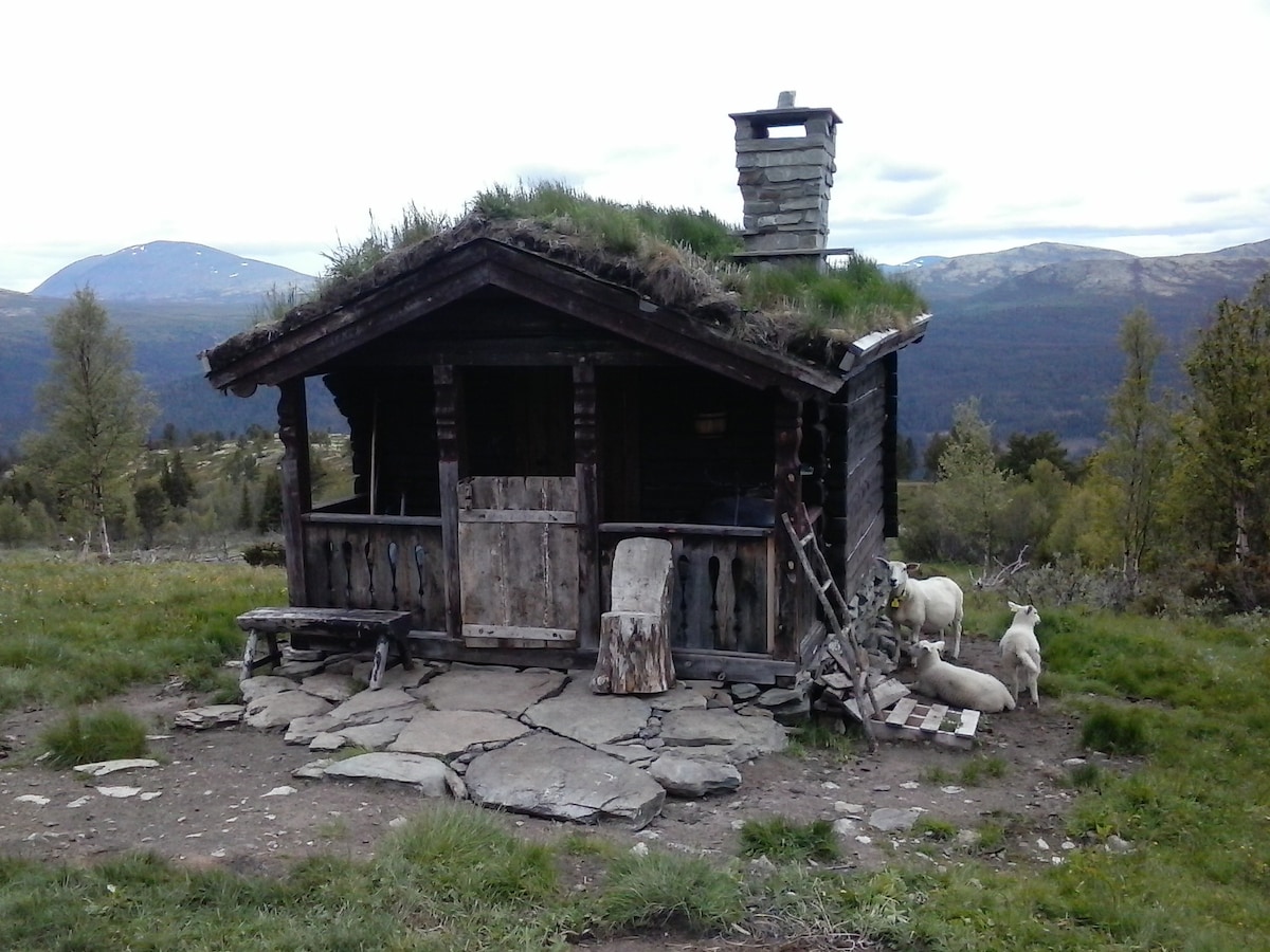 您在山上的自己的小木屋