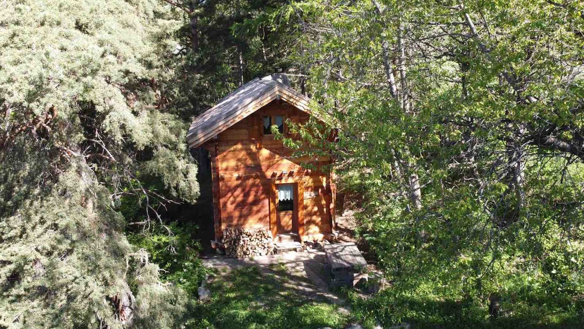 高山牧场中的小木度假木屋