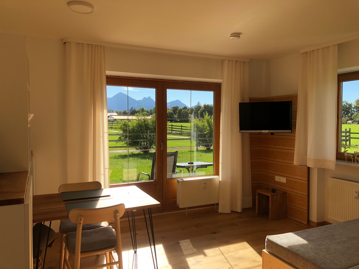 可欣赏山景的2室公寓「Alpensonne」
