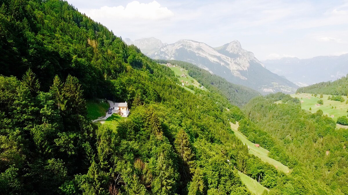 Holiday home | Heidiland |瑞士山脉