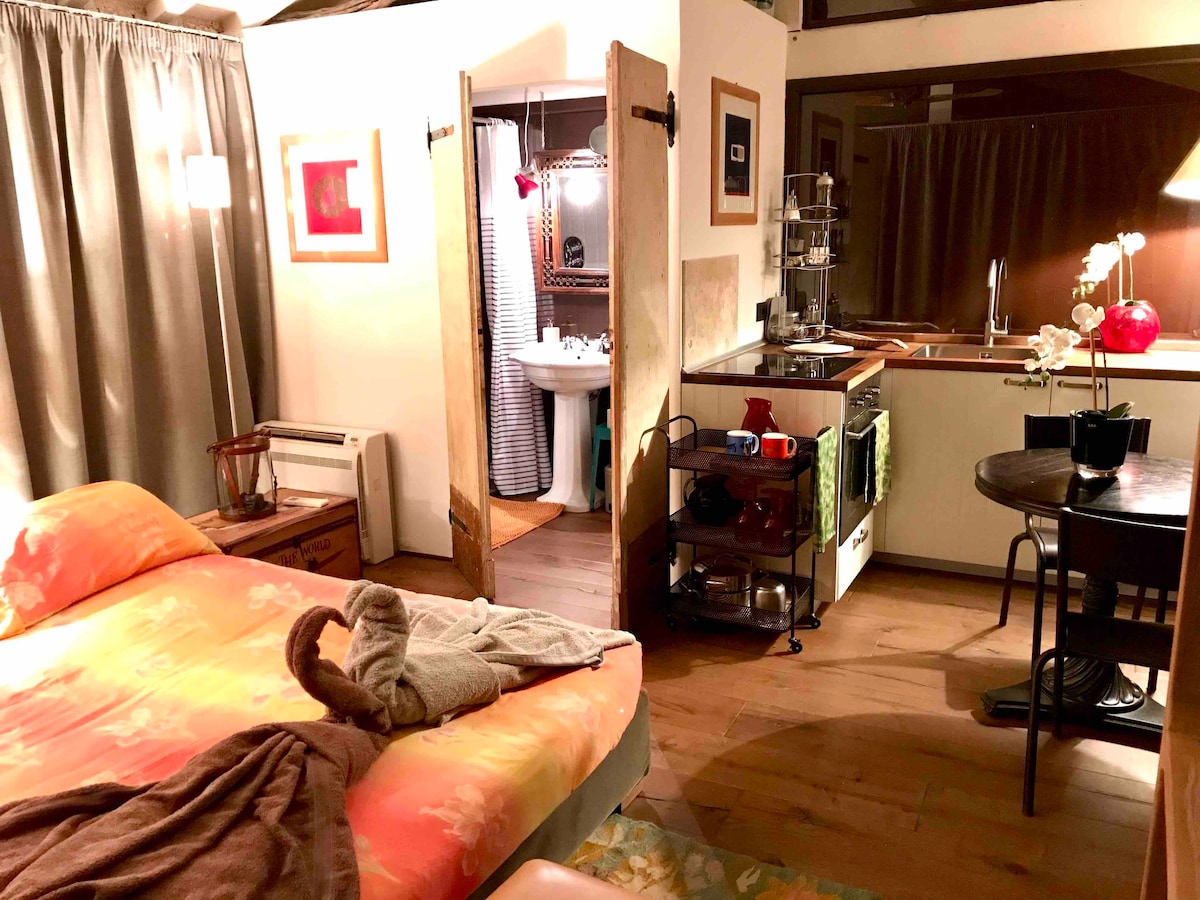 位于圣吉米尼亚诺（ S.Gimignano ）的漂亮单间公寓，带