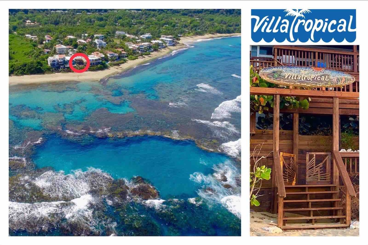 Villa Tropical - Oceanfront 1卧室「1B」@ ShacksBeach