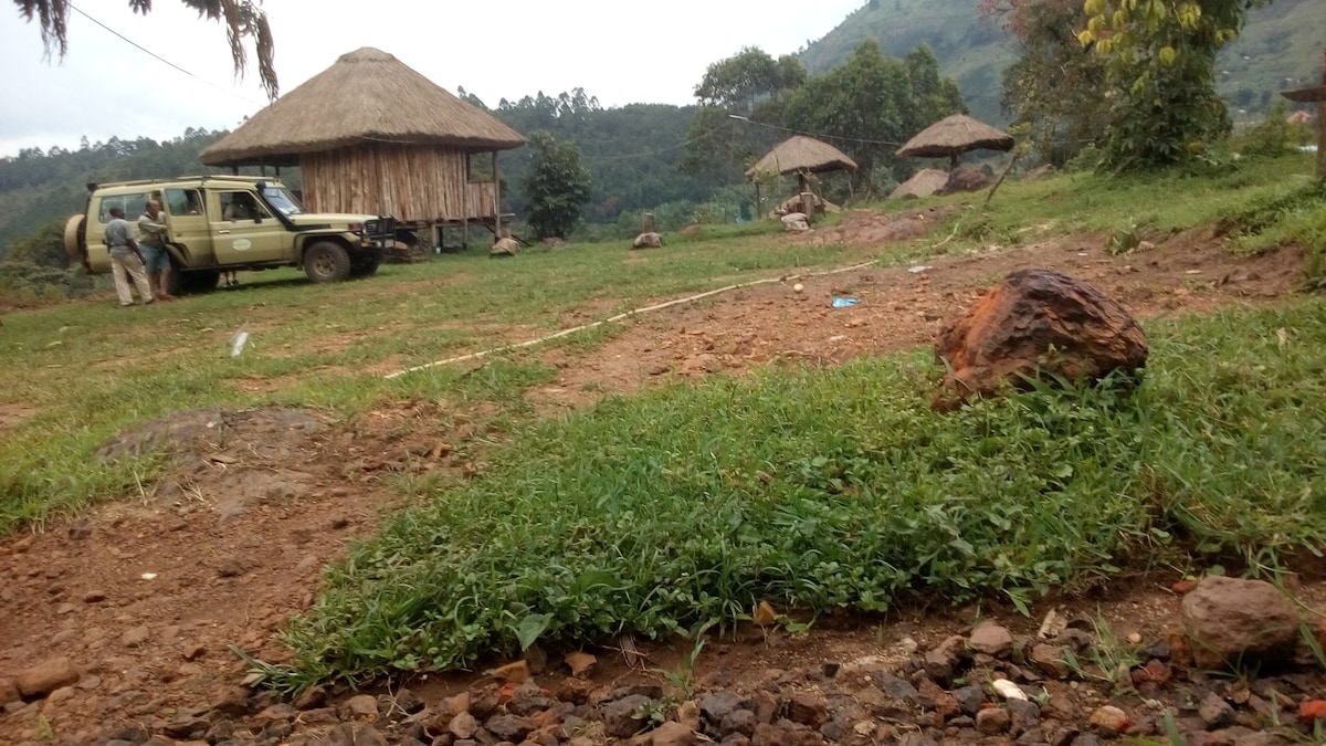 Bwindi nature view campsite