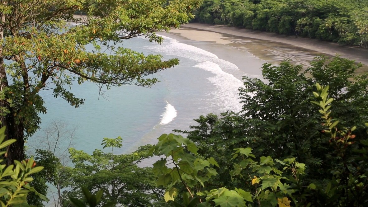 Trinidad Pacific Island, Isla Parida, Panama