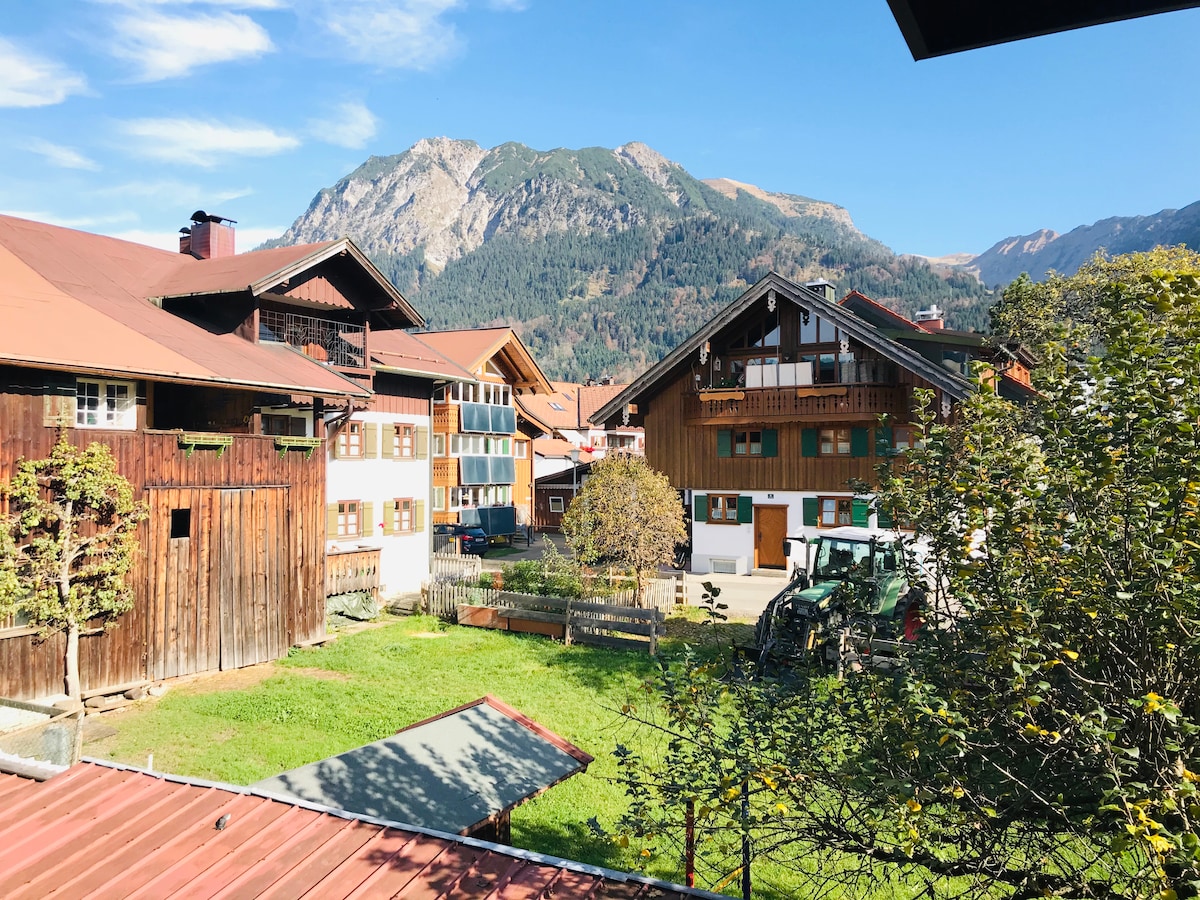 Alpine Pearl with Sunny Balcony in Center & Garage