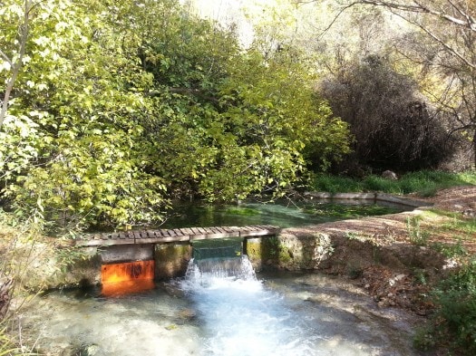 Cazorla-Alcon, Lavender Apartment