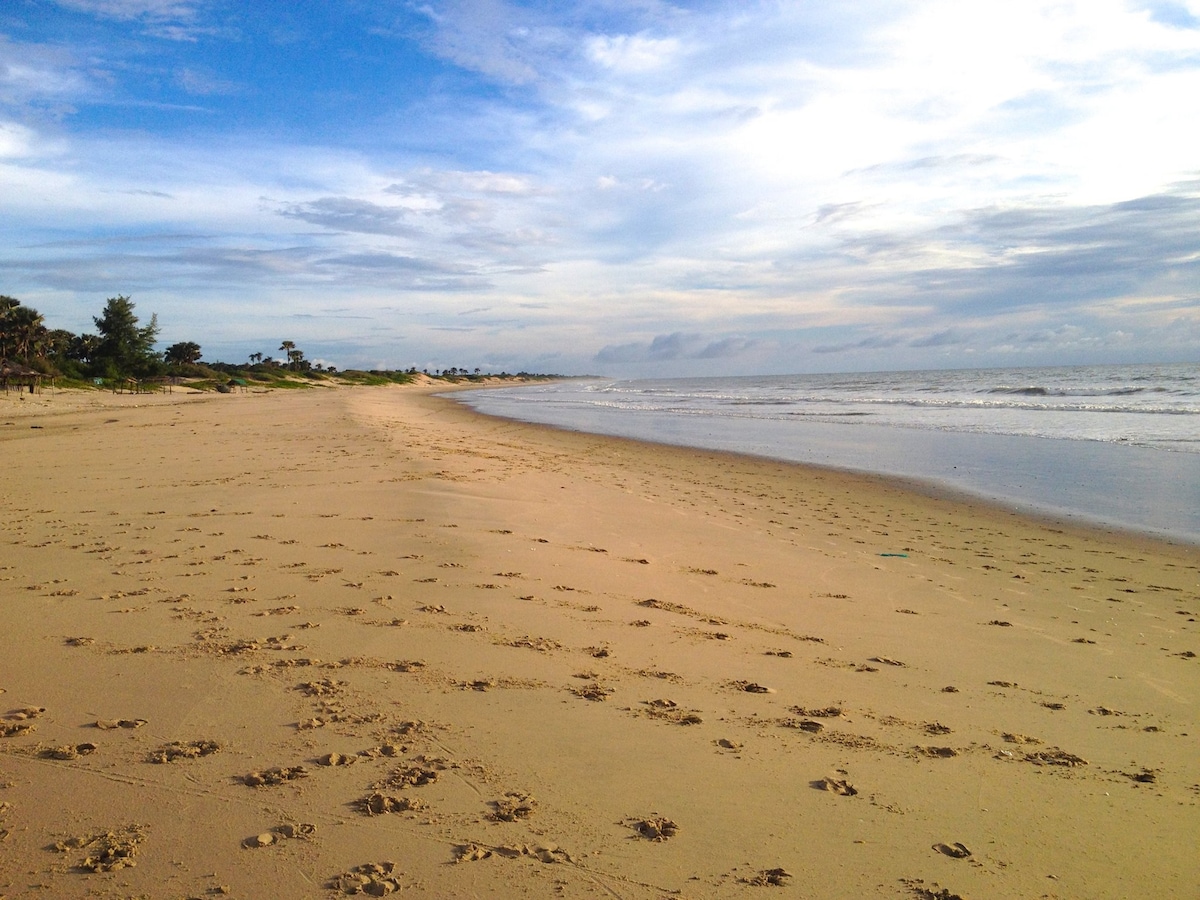 About Time Lodge a Jungle Paradise on the beach!