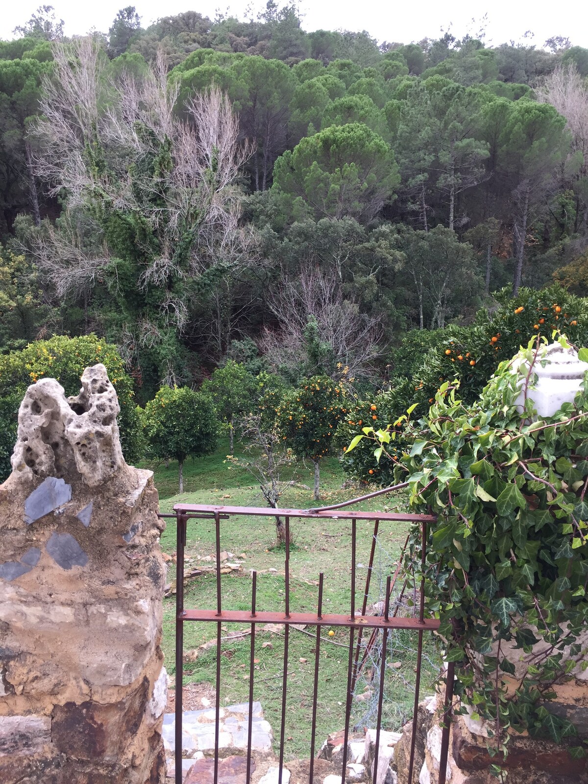 Linares de la Sierra - Aracena - Casa La Toscana。