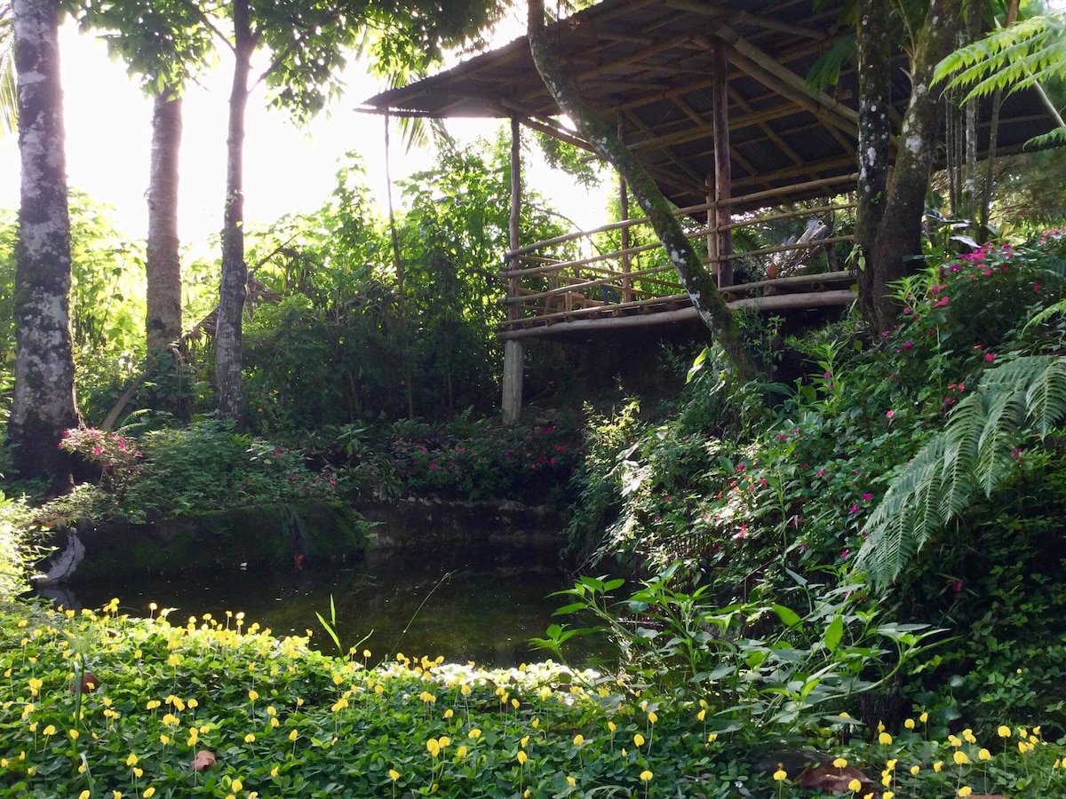 公寓松风乡村小屋