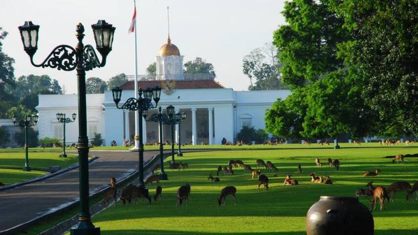 Bogor Tengah的民宿