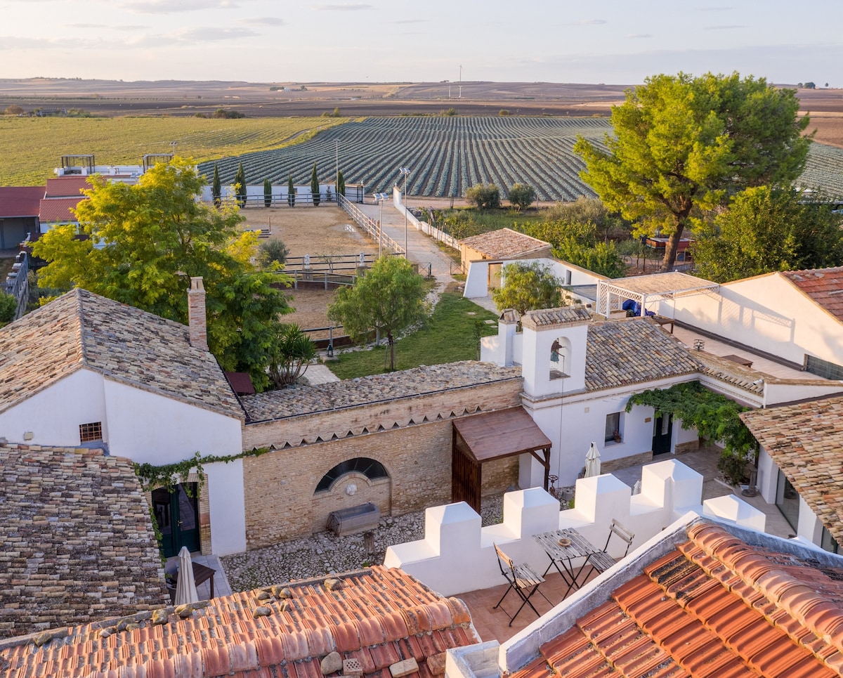 这里是普利亚（ Puglia ） |在马塞里亚放松、美食和自然