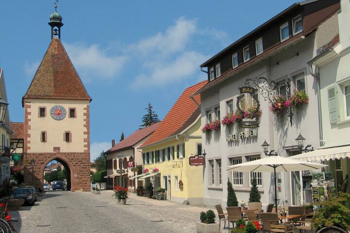 Endingen am Kaiserstuhl的民宿