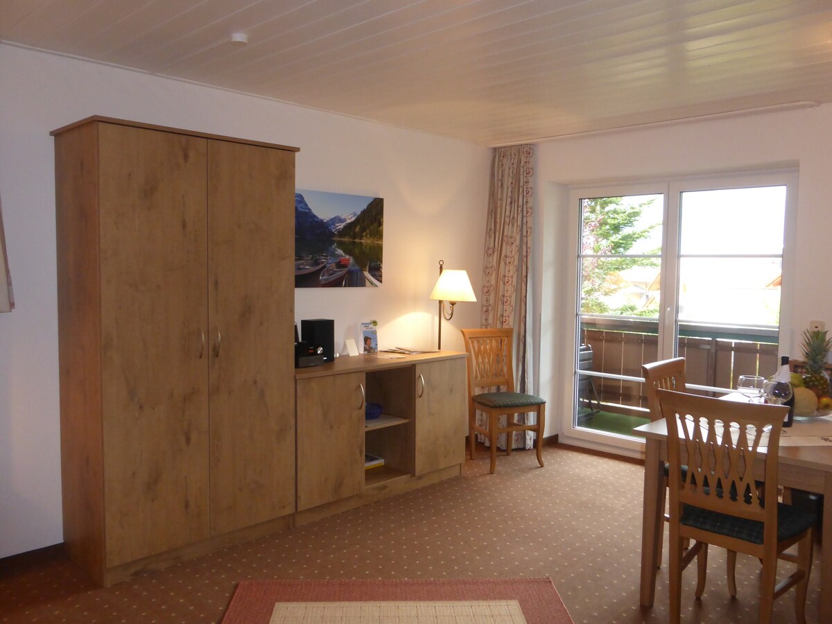 2-Raum-Appartement Fellhorn