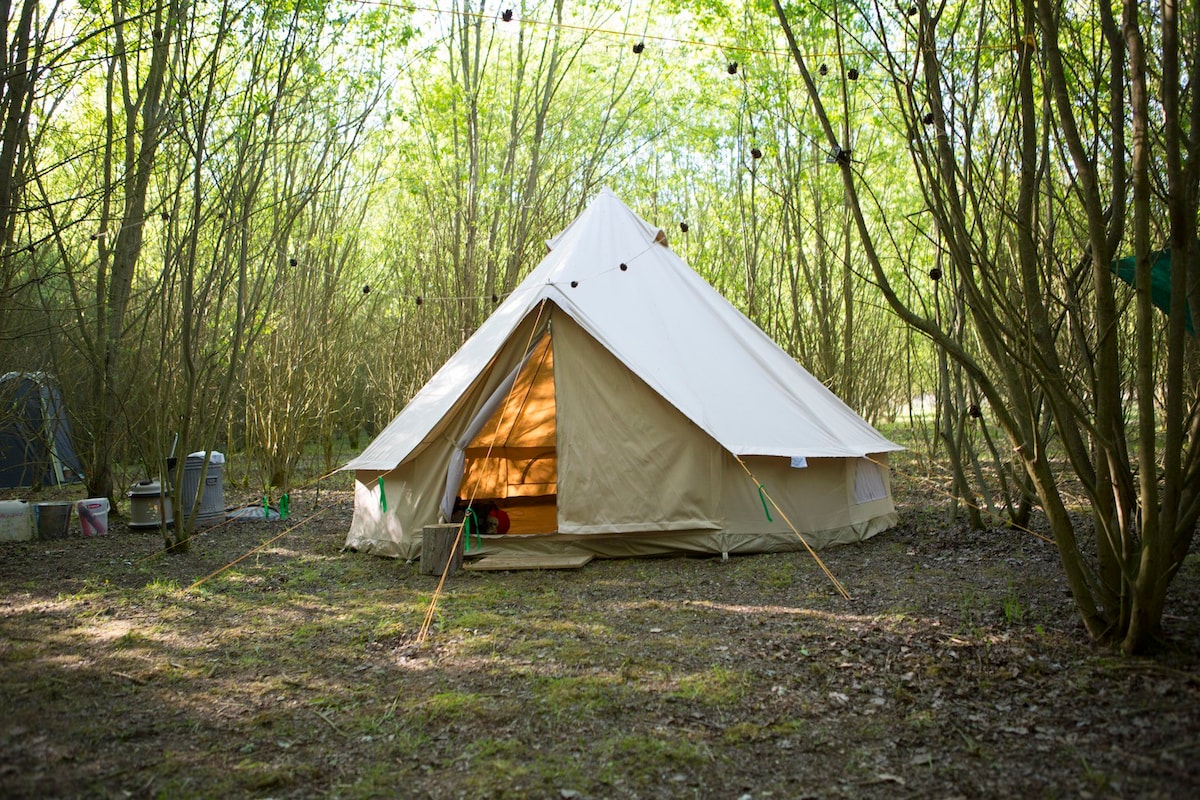 Woodland Wild Camp In A Bell Tent （ 4人）