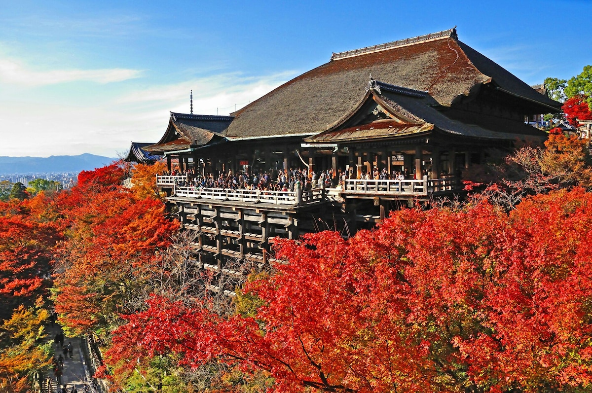 Kiyomizu寺附近的白色房间。全景！深受几个女孩的欢迎