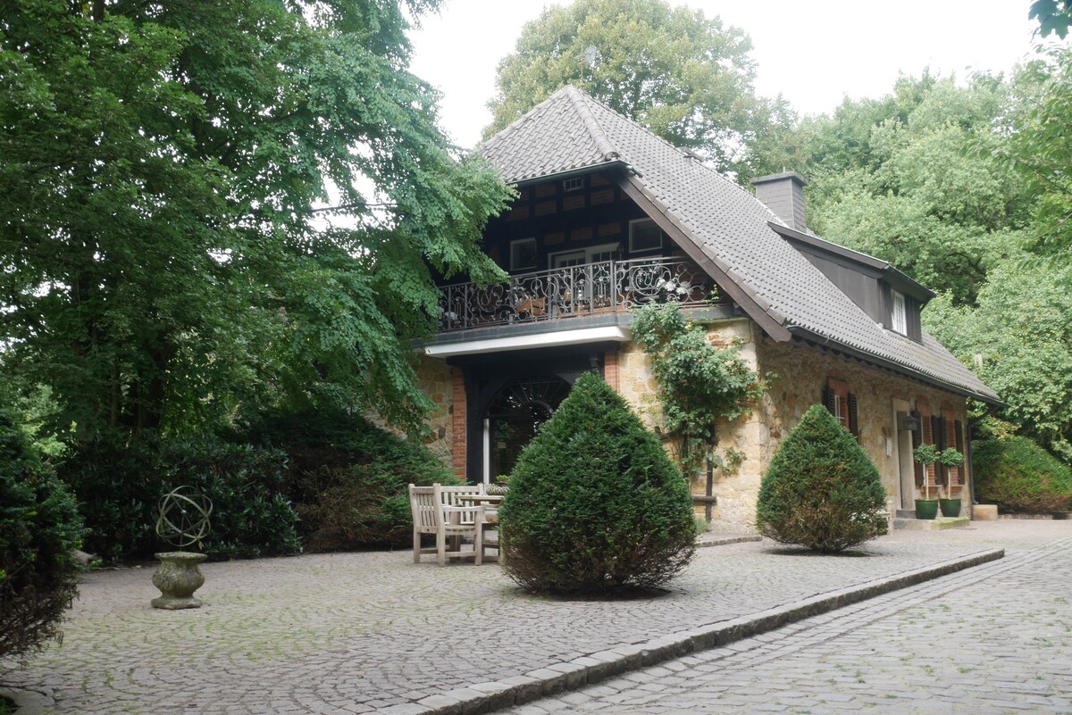 Völlinck am Habichtswald