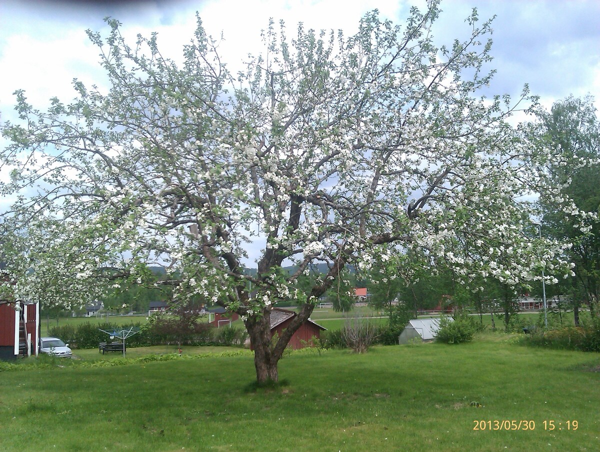 Kalhyttebacken ， Filipstad ， Wermland