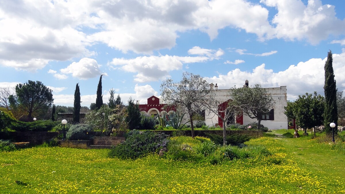 3月花园住宿加早餐+驴农场