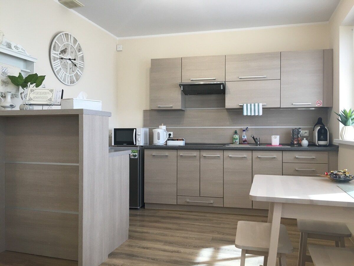 Apartament ạAK no. 6 w centrum 51平方米!! Leszno