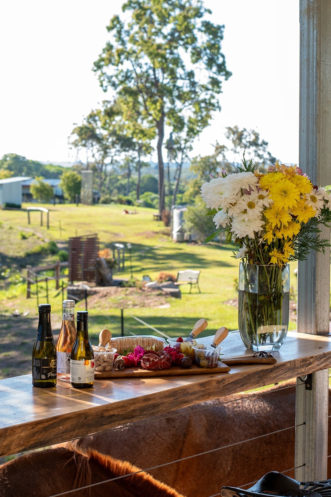 Unique Train, wildlife, fire pit, double shower