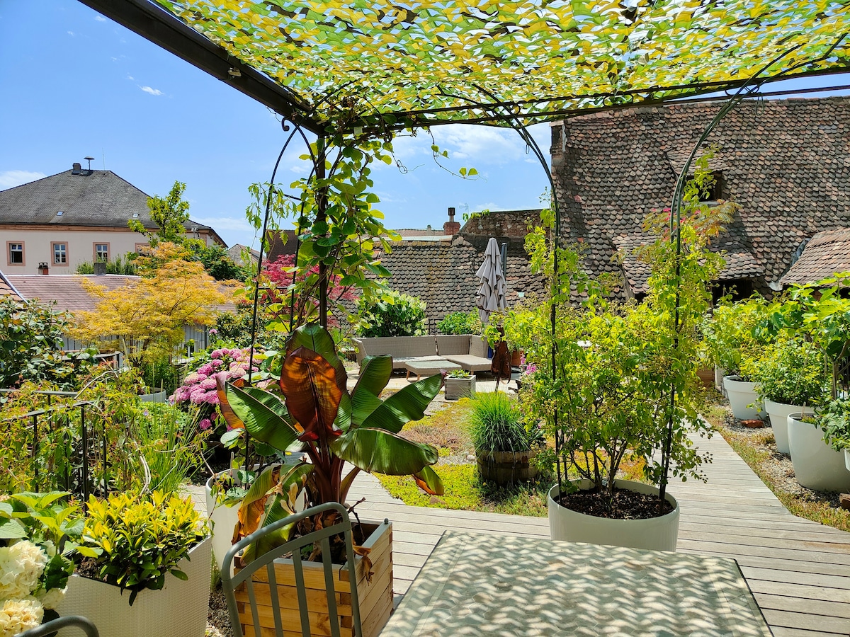 Le Jardin d 'Eden - Colmar Centre