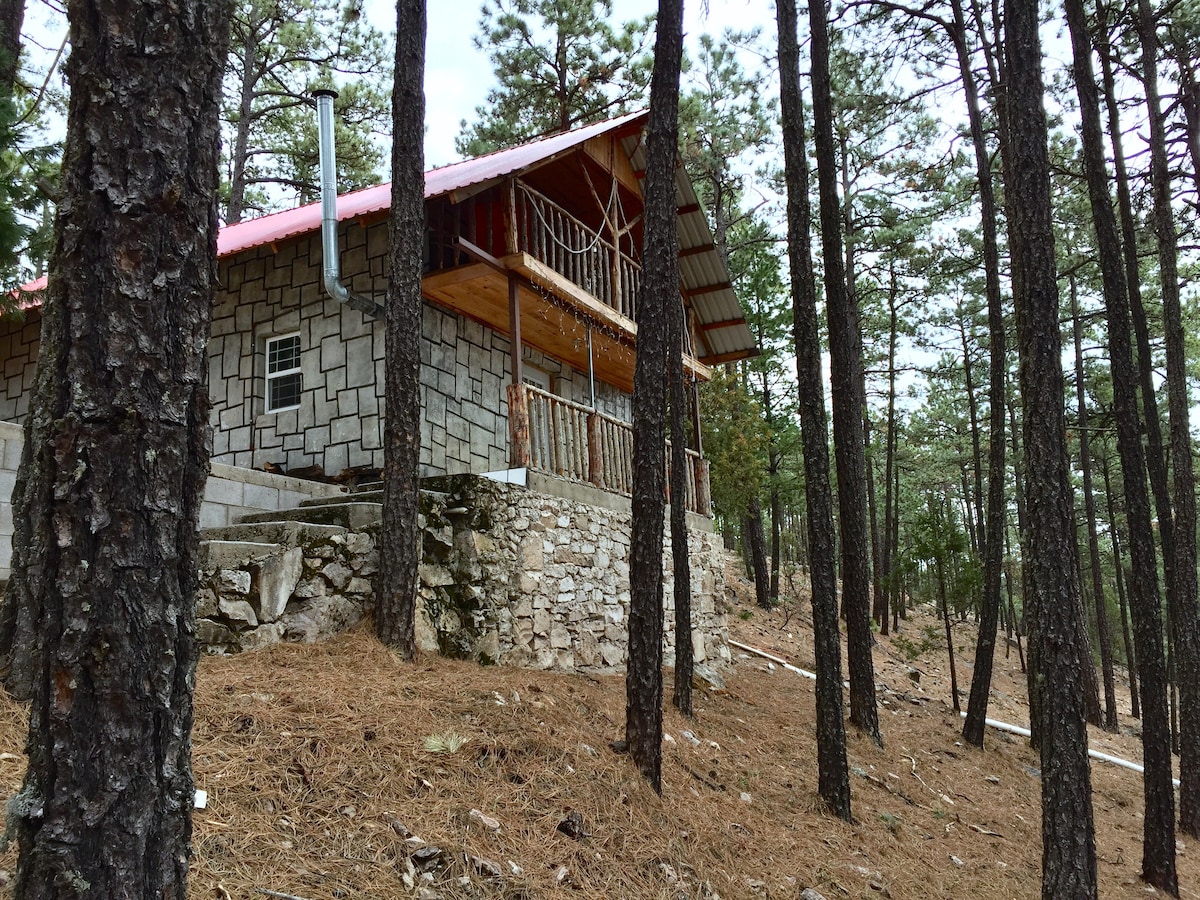 Hiker 's Cozy Cabin