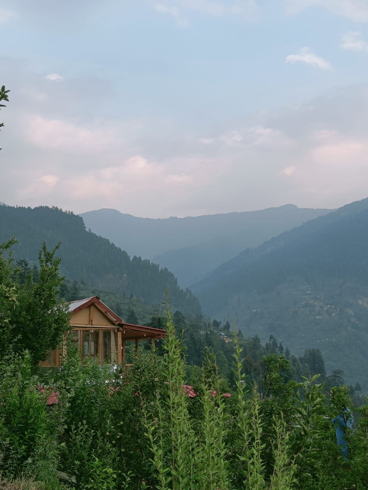 Before Sunrise Cabin-OFF ROAD Wood and Glass Cabin