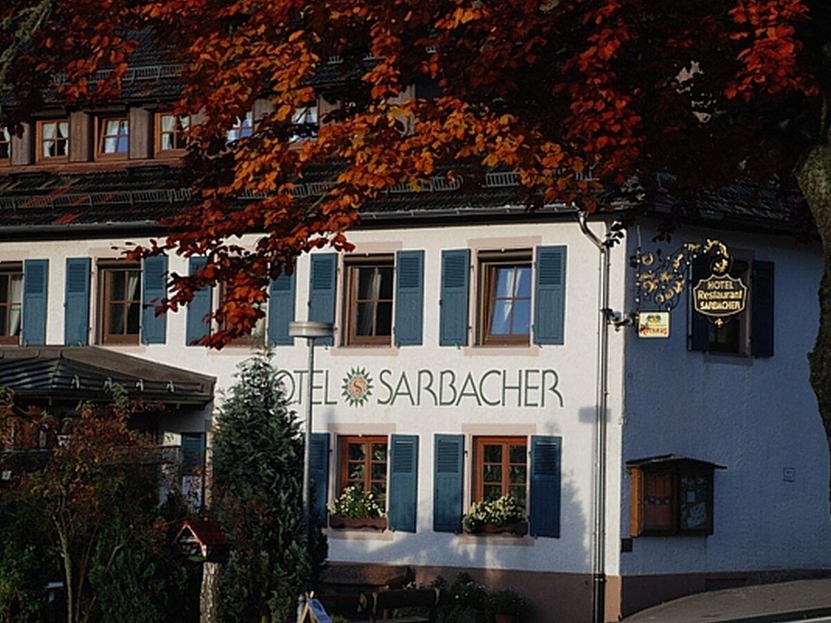 萨巴赫酒店（ Gernsbach ） ，单人房，带淋浴间和马桶