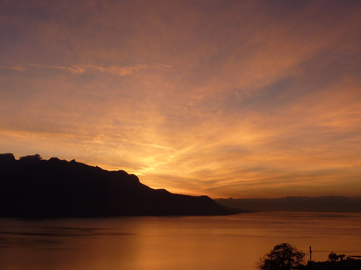 可俯瞰日内瓦湖和阿尔卑斯山的美景