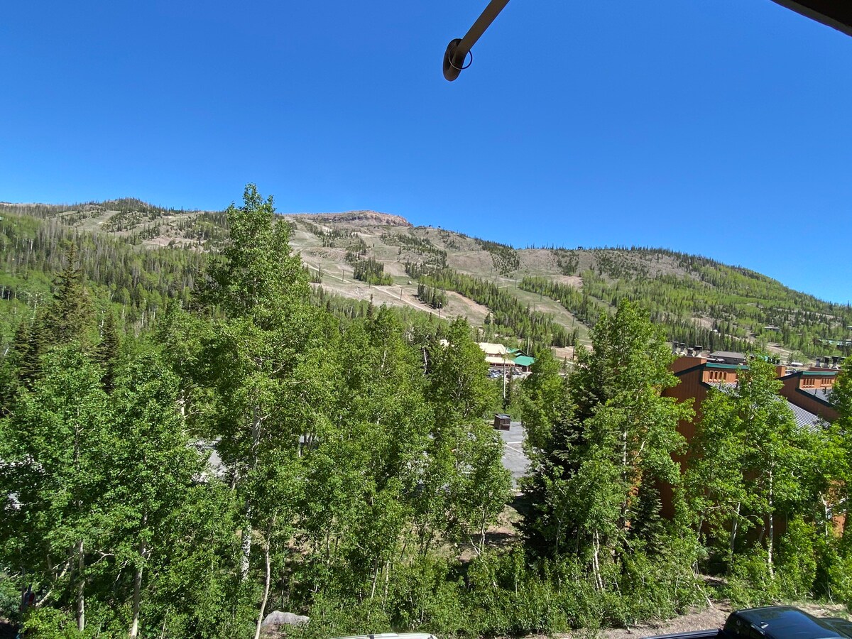 现代公寓，可俯瞰Brian Head滑雪度假村