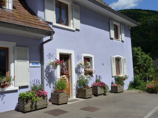 公寓位于阿尔萨斯孚日（ Alsatian Vosges ）的中心地带。