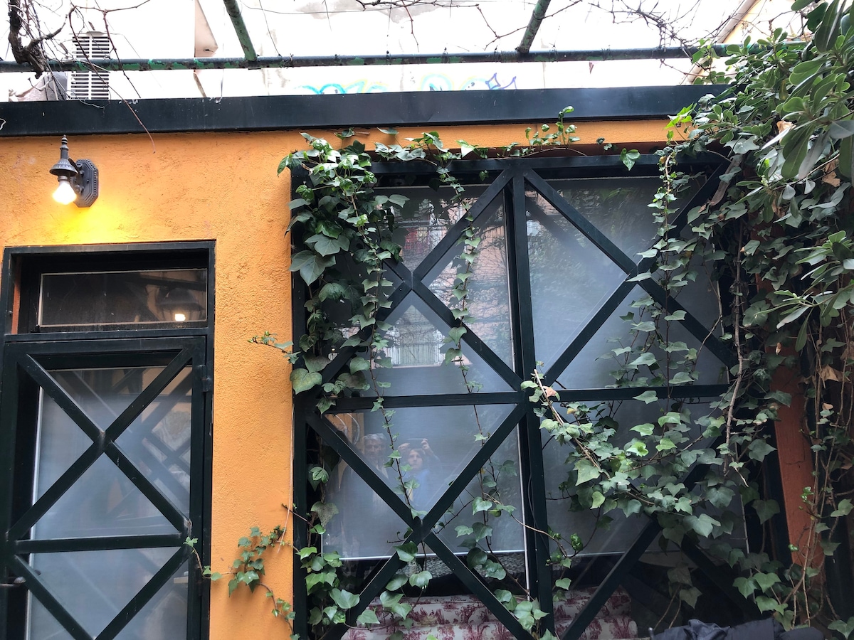 绿色阁楼-帕拉西奥街区带花园的阁楼
