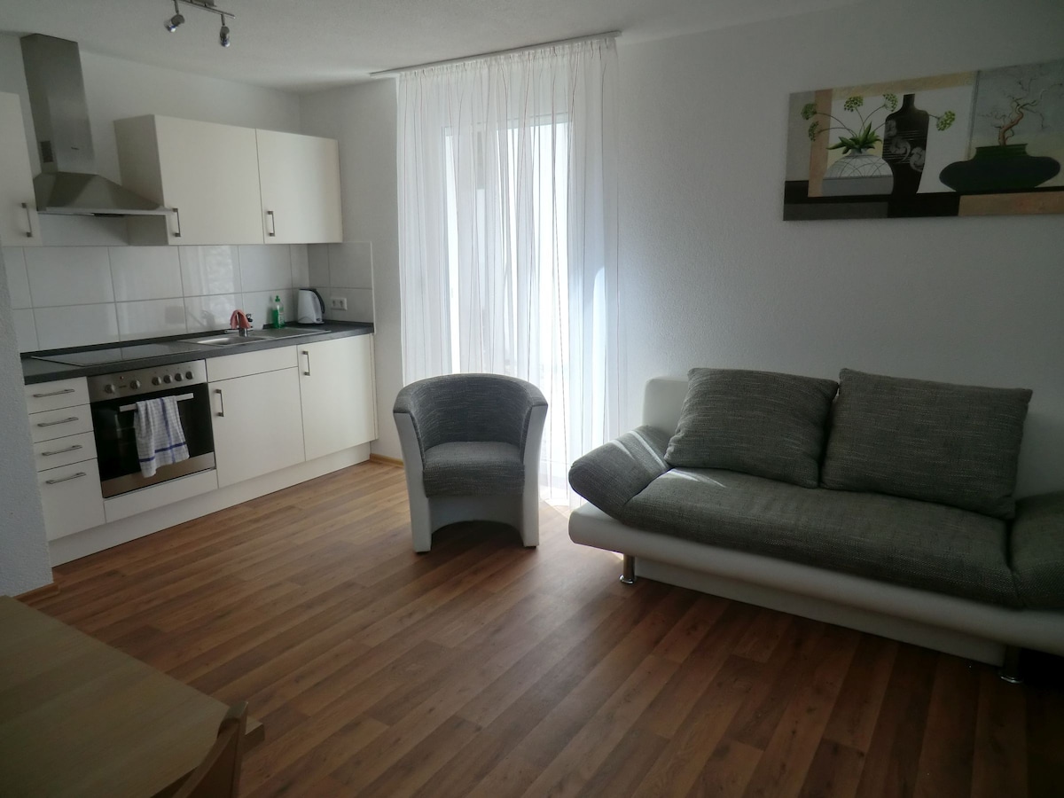 Pension Steinle ， （ Erbach-Donaurieden ） ，公寓， 60平方米，露台， 2间卧室，最多5人