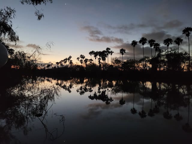 麦卡伦(McAllen)的民宿